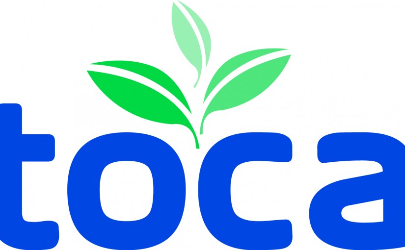 27th Annual TOCA Meeting